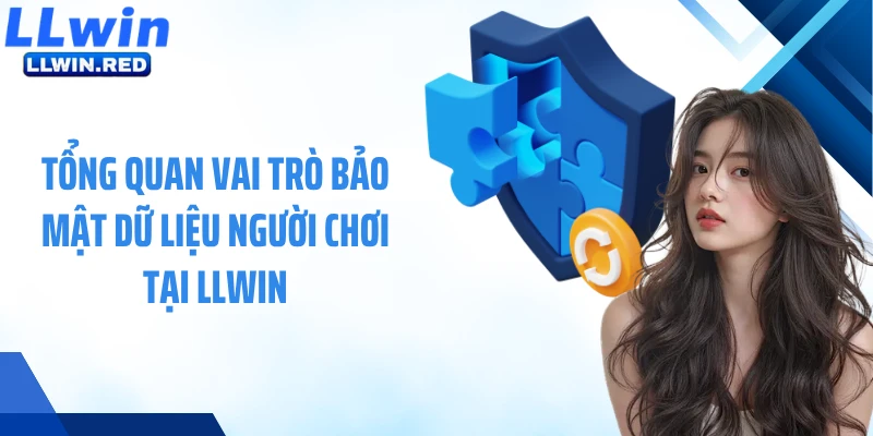 Tổng quan vai trò bảo mật dữ liệu người chơi tại LLWIN